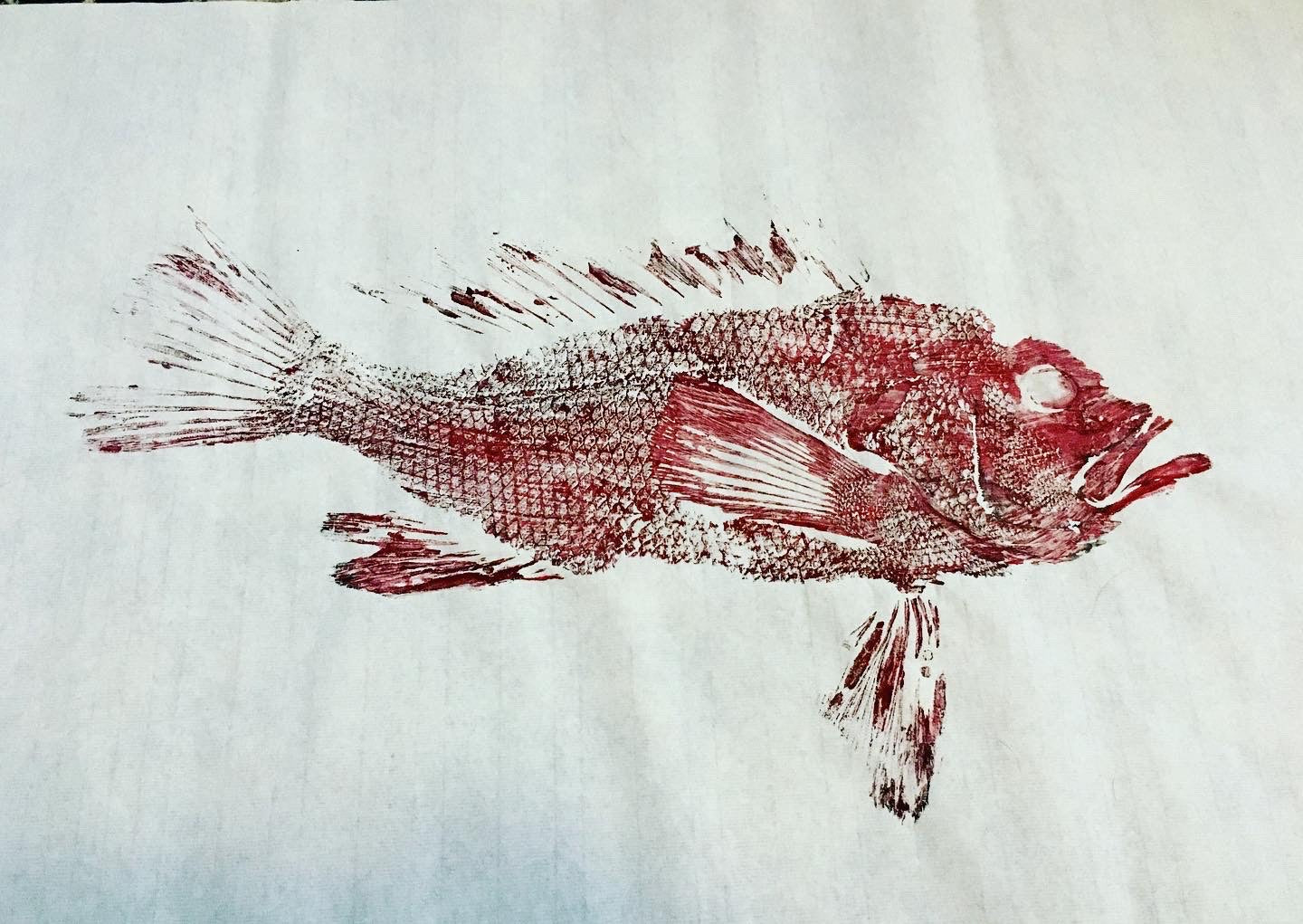 Original Watercolor Fish Prints