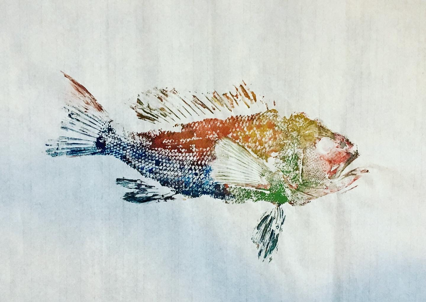 Original Watercolor Fish Prints – Afrayed Knot
