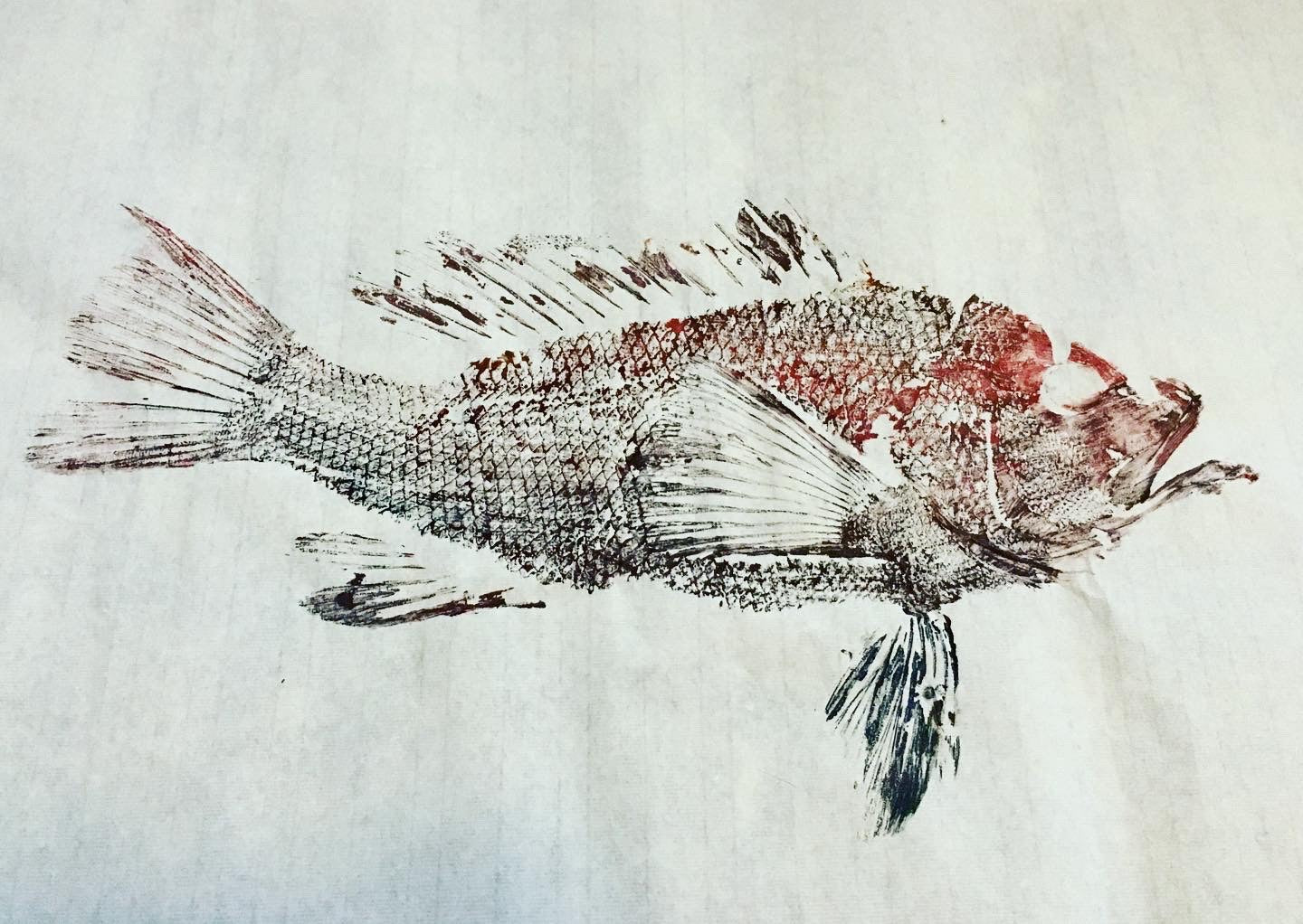 Original Watercolor Fish Prints