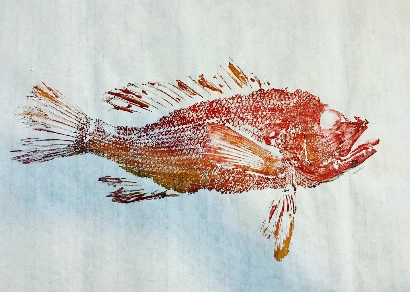 Original Watercolor Fish Prints