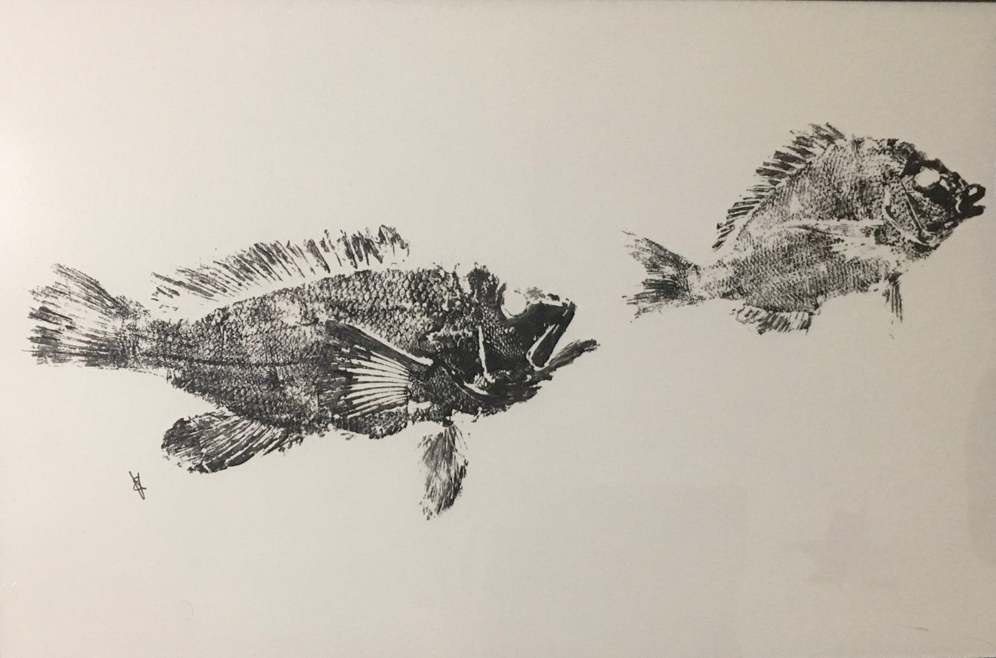 'Chasing Tail' - 11x17”