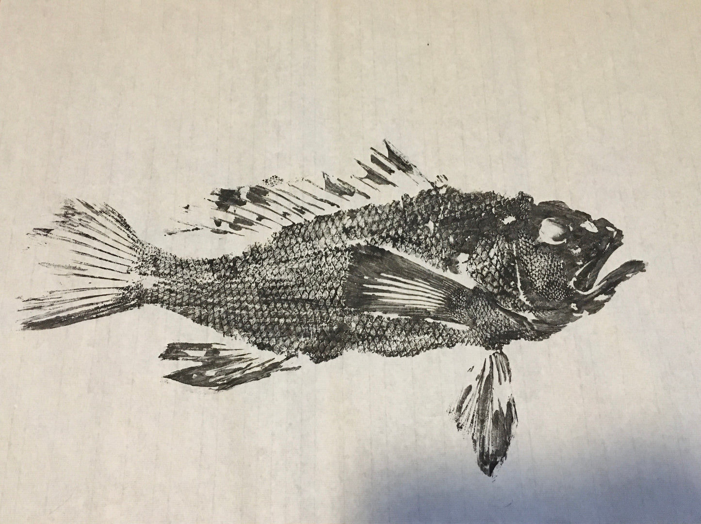 Original Black Sumi Ink Fish Print