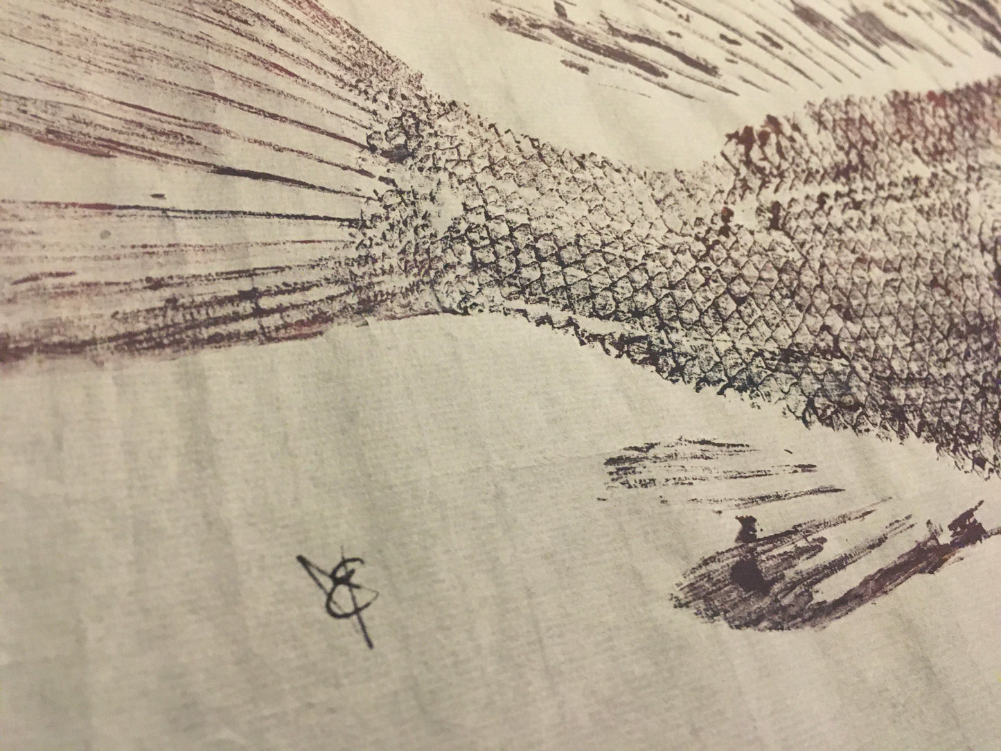 Original Watercolor Fish Prints