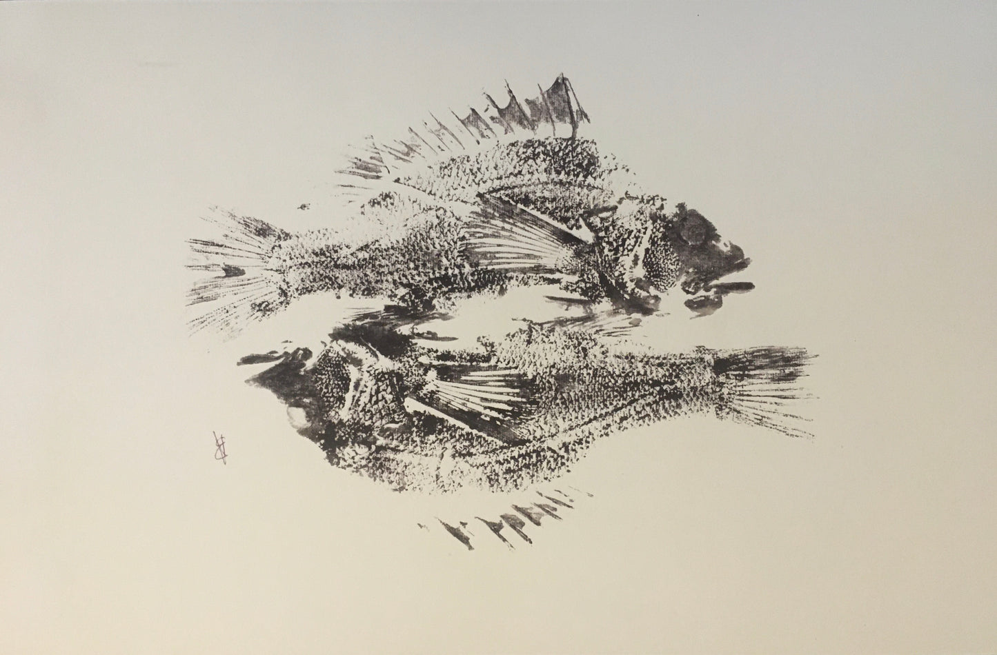'Heads or Tails' - 11x17”
