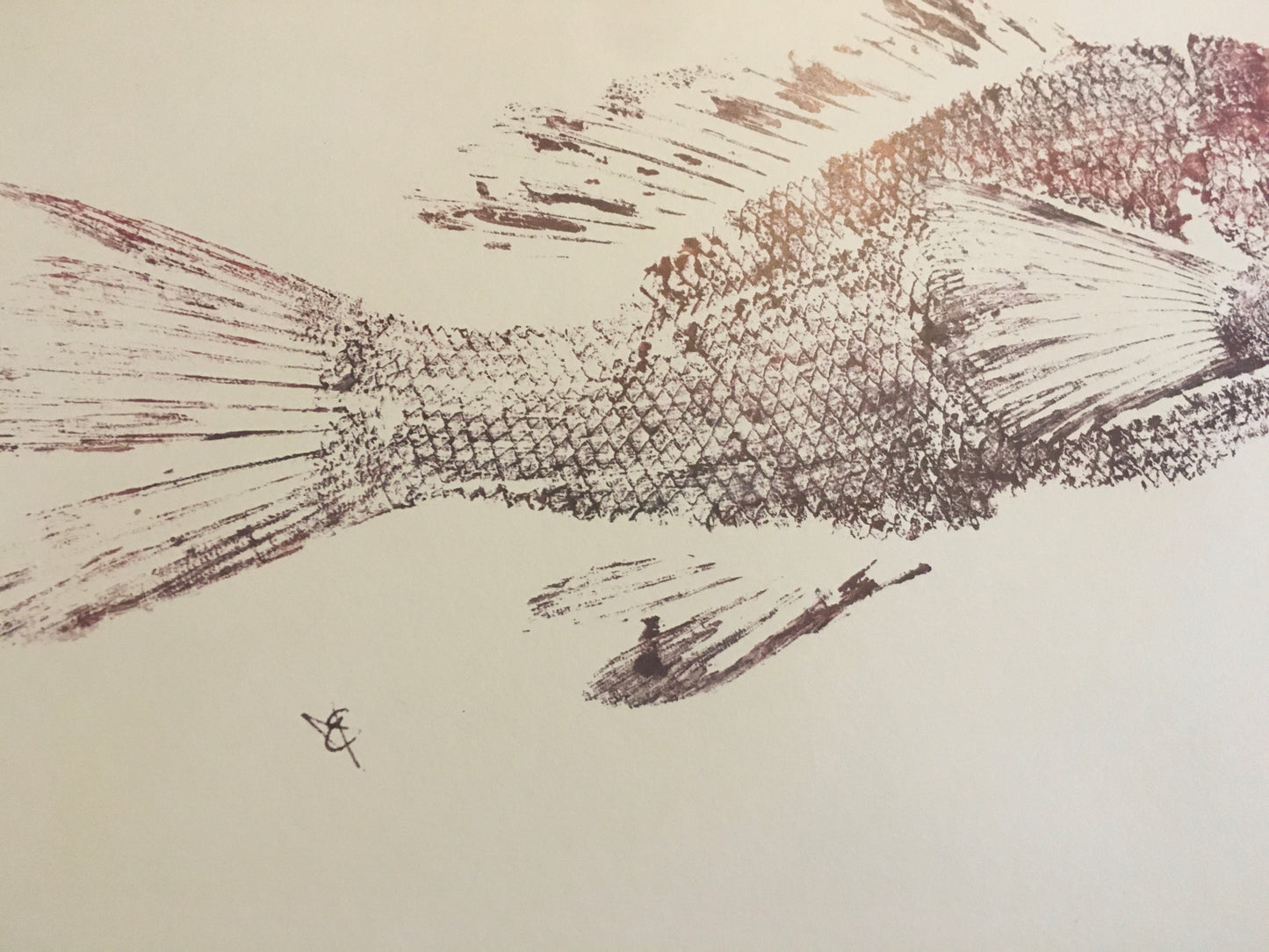 Deep Purple Fish Print - 11x17”