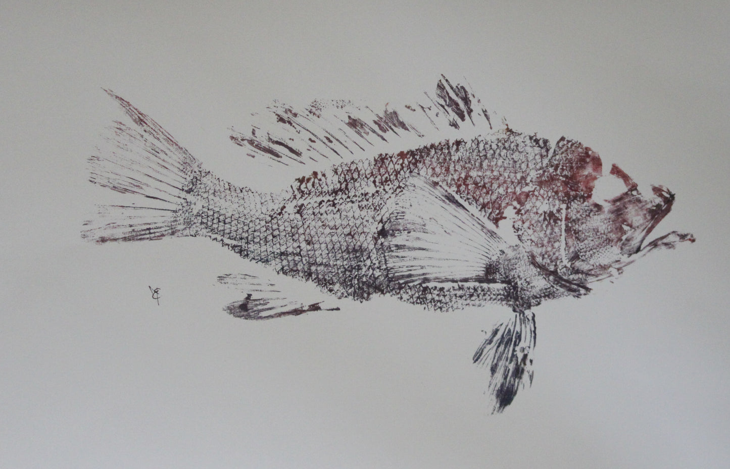 Deep Purple Fish Print - 11x17”