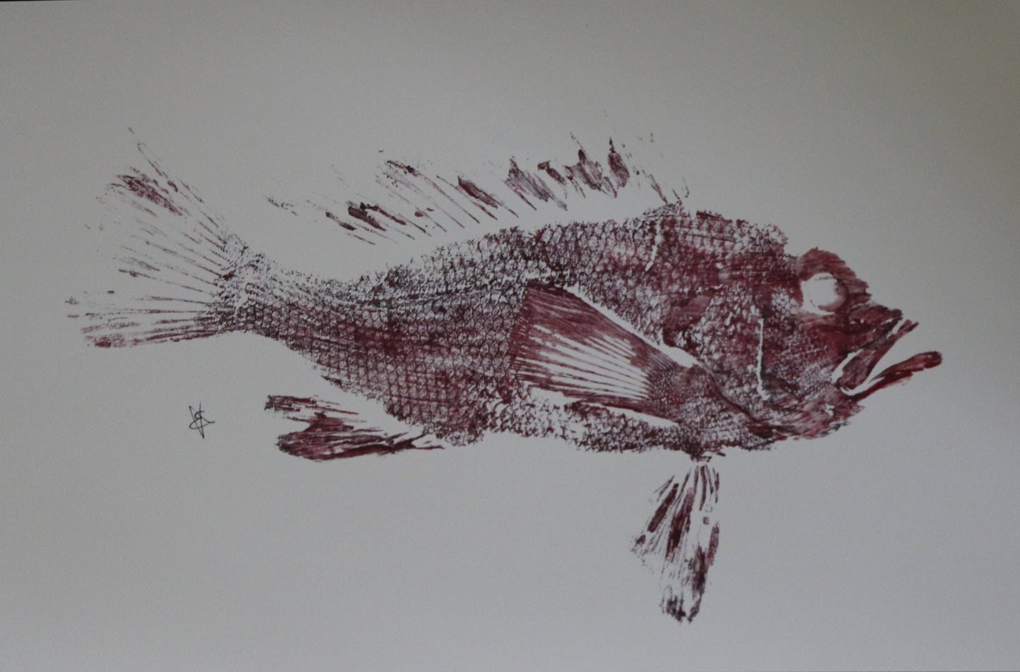 Red Hot Fish Print - 11x17”