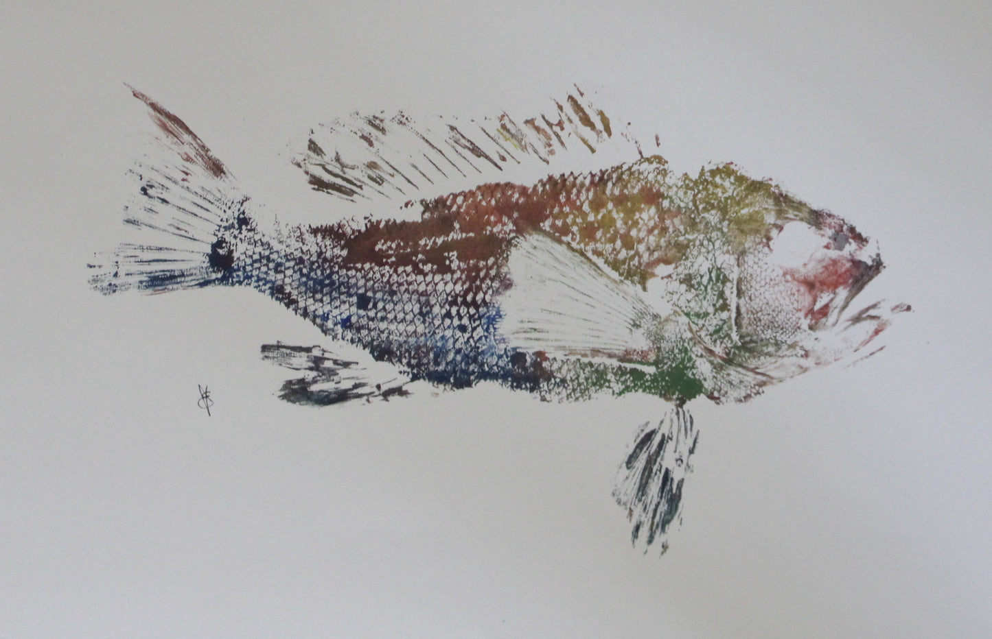 Technicolor Fish Print - 11x17”