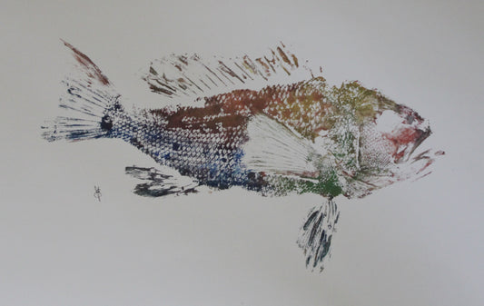 Technicolor Fish Print - 11x17”