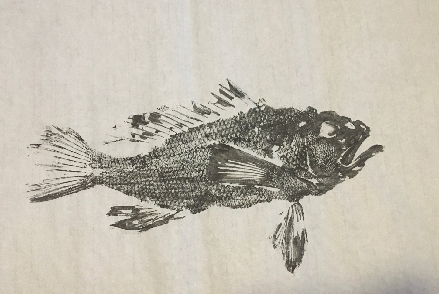 Original Black Sumi Ink Fish Print