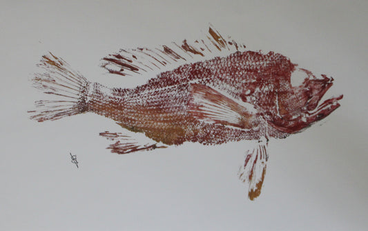 Orange Ombre Fish Print 11x17”