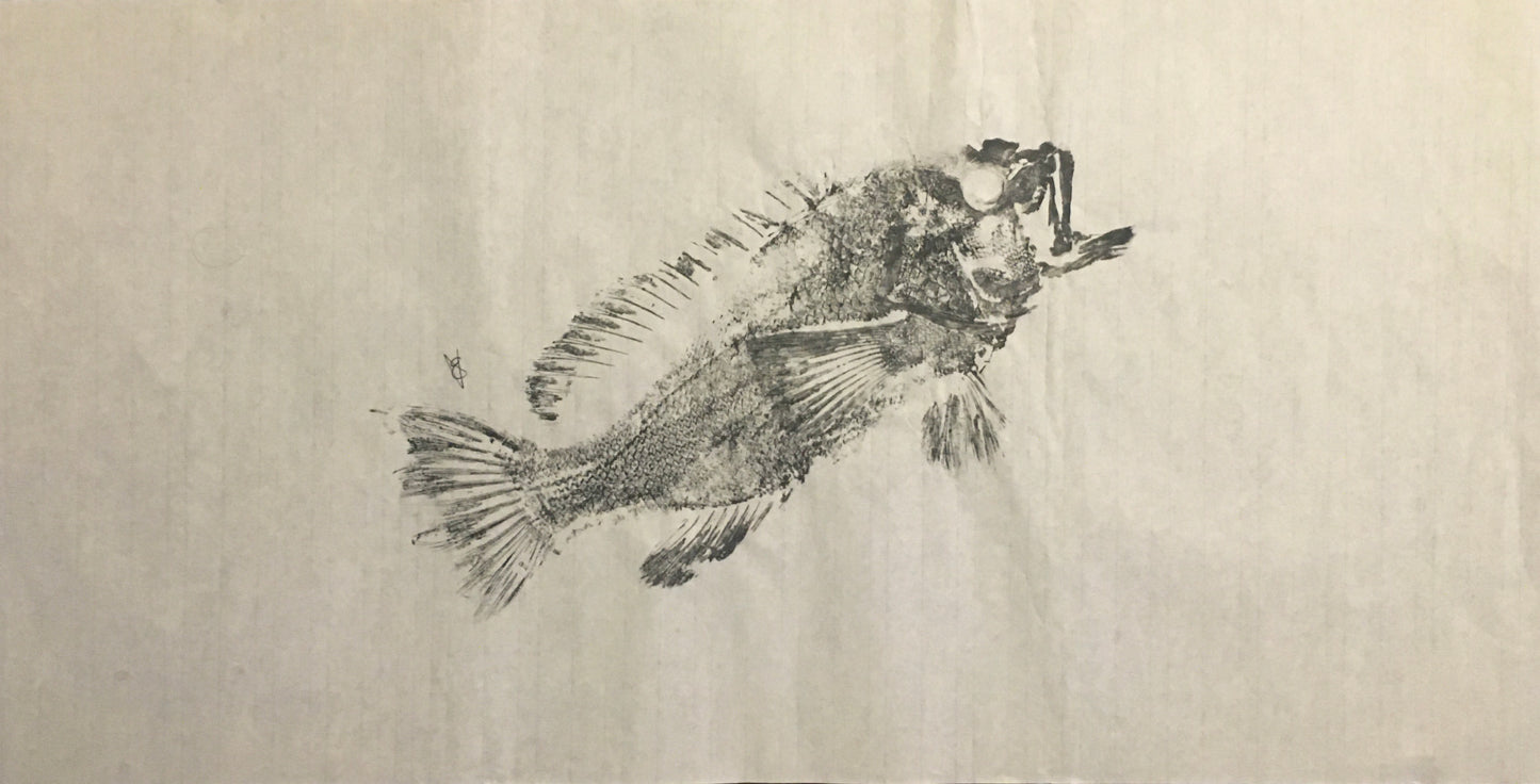 Original Fish Graphite Art For Sale